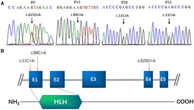 Mutations in FIGLA Associated With Premature Ovarian Insufficiency in a Chinese Population